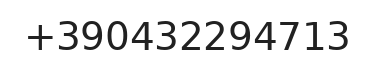 Telefono responsabile