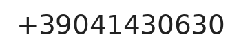 Telefono responsabile