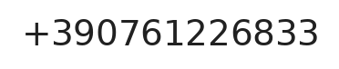 Telefono responsabile