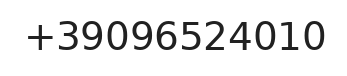 Telefono responsabile