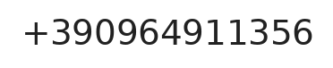 Telefono responsabile