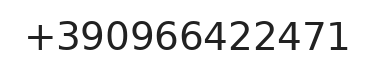 Telefono responsabile