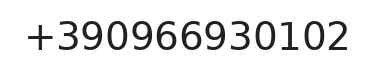 Telefono responsabile