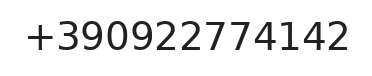 Telefono responsabile
