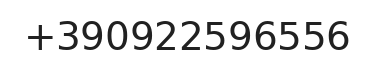 Telefono responsabile