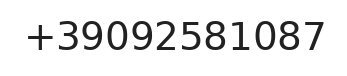 Telefono responsabile