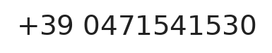 Telefono responsabile