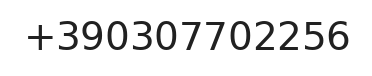 Telefono responsabile